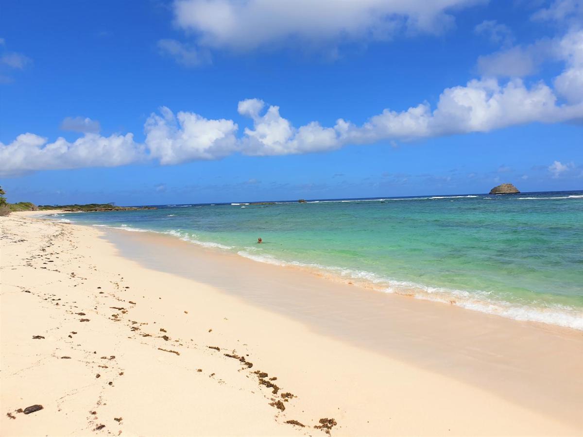 Villa Guadeloupe Saint Francois Acces Mer Piscine Iguana Bay - Villa Zagadi מראה חיצוני תמונה