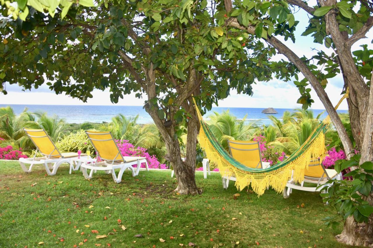 Villa Guadeloupe Saint Francois Acces Mer Piscine Iguana Bay - Villa Zagadi מראה חיצוני תמונה
