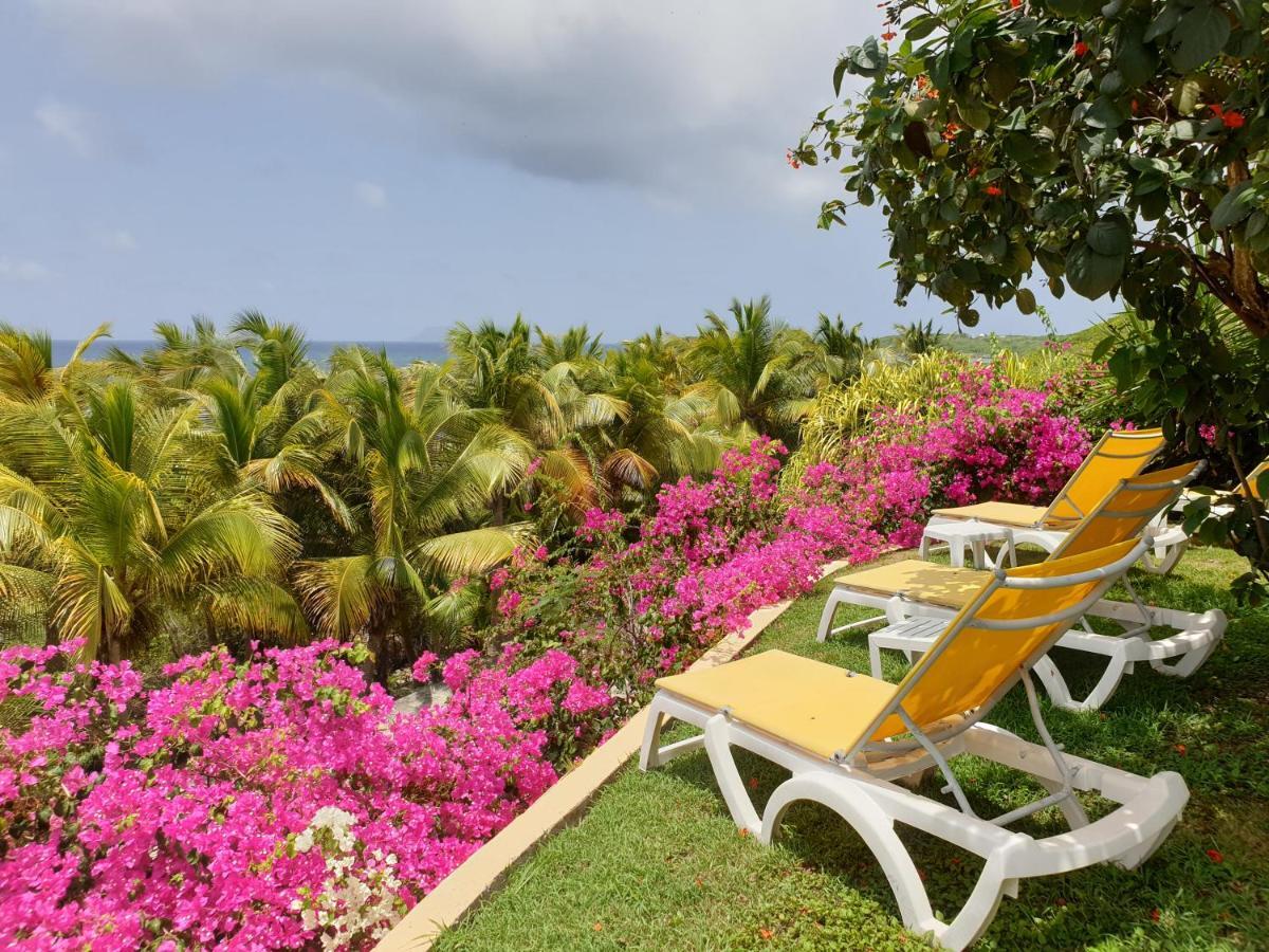 Villa Guadeloupe Saint Francois Acces Mer Piscine Iguana Bay - Villa Zagadi מראה חיצוני תמונה