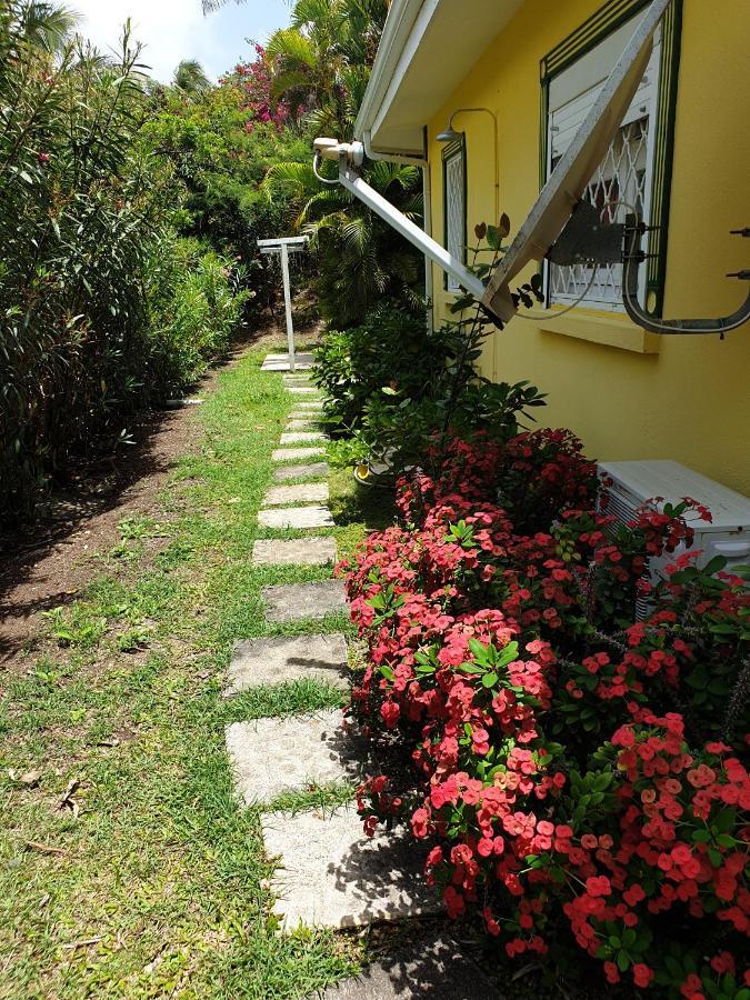 Villa Guadeloupe Saint Francois Acces Mer Piscine Iguana Bay - Villa Zagadi מראה חיצוני תמונה
