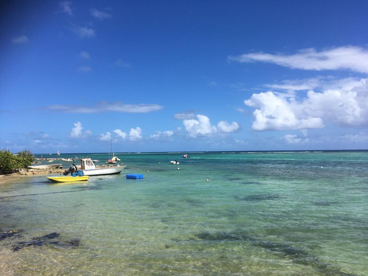 Villa Guadeloupe Saint Francois Acces Mer Piscine Iguana Bay - Villa Zagadi מראה חיצוני תמונה