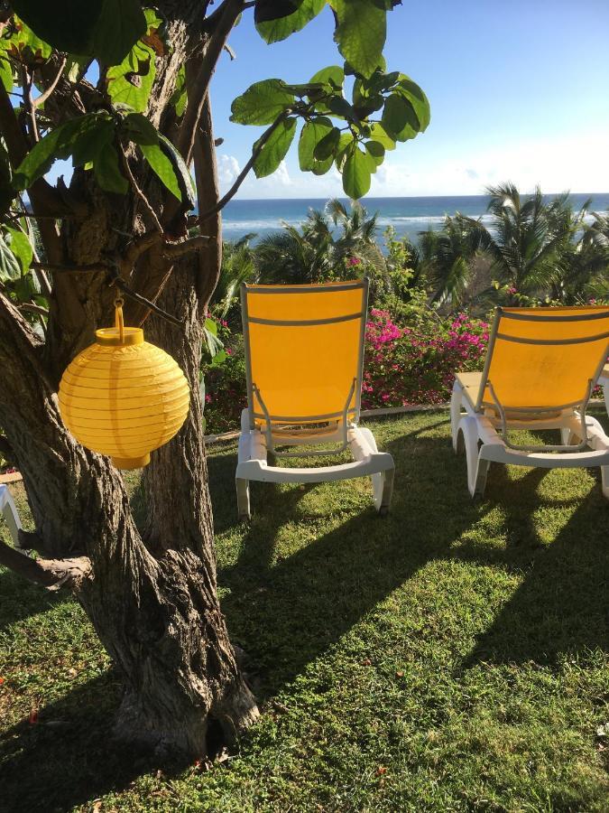 Villa Guadeloupe Saint Francois Acces Mer Piscine Iguana Bay - Villa Zagadi מראה חיצוני תמונה