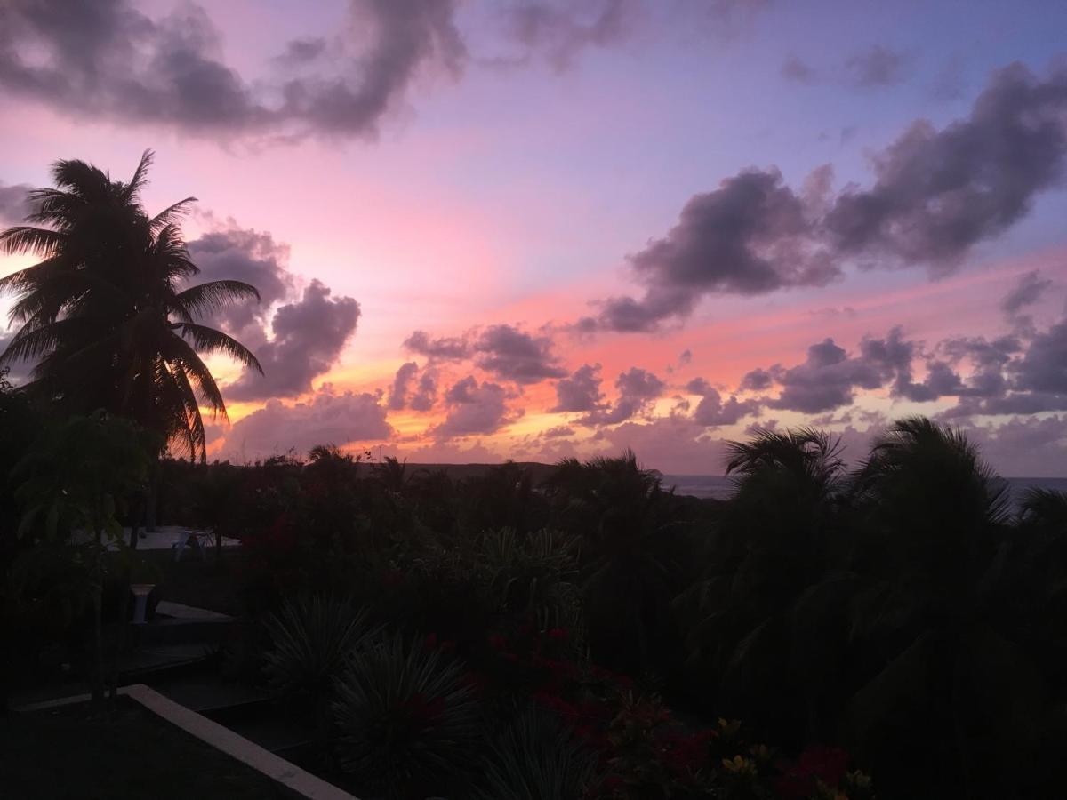 Villa Guadeloupe Saint Francois Acces Mer Piscine Iguana Bay - Villa Zagadi מראה חיצוני תמונה